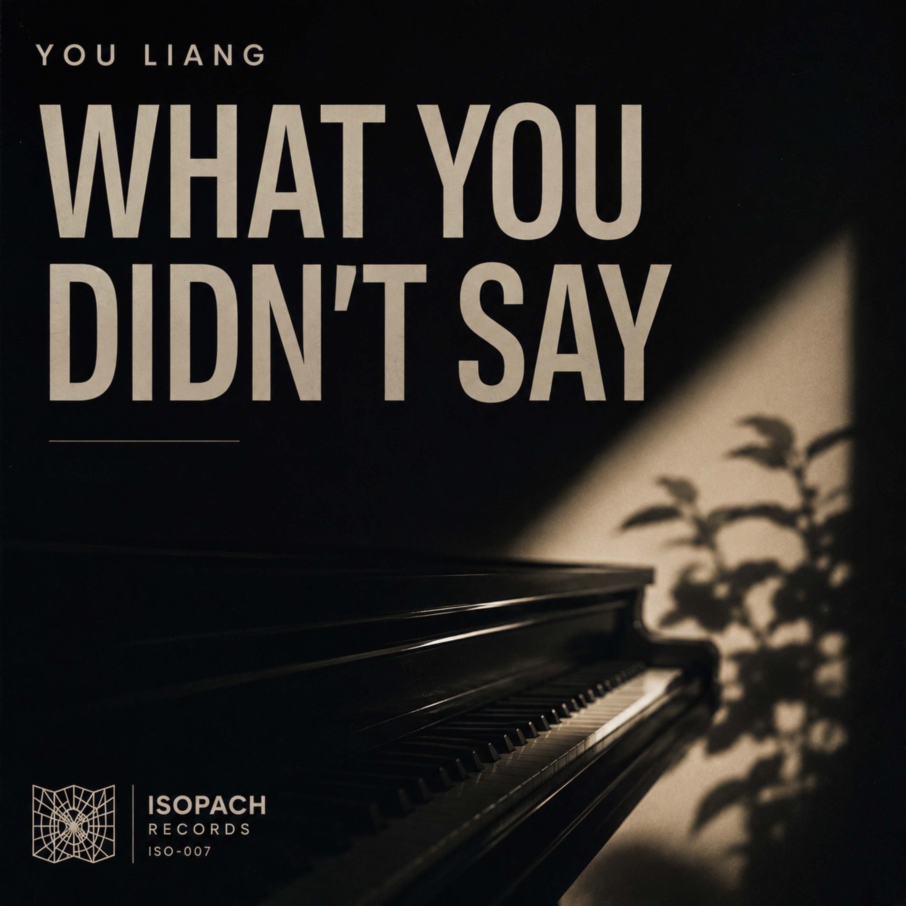 What You Didn't Say cover art
